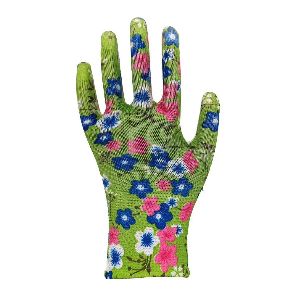 product-1000-1000 product-1000-1000